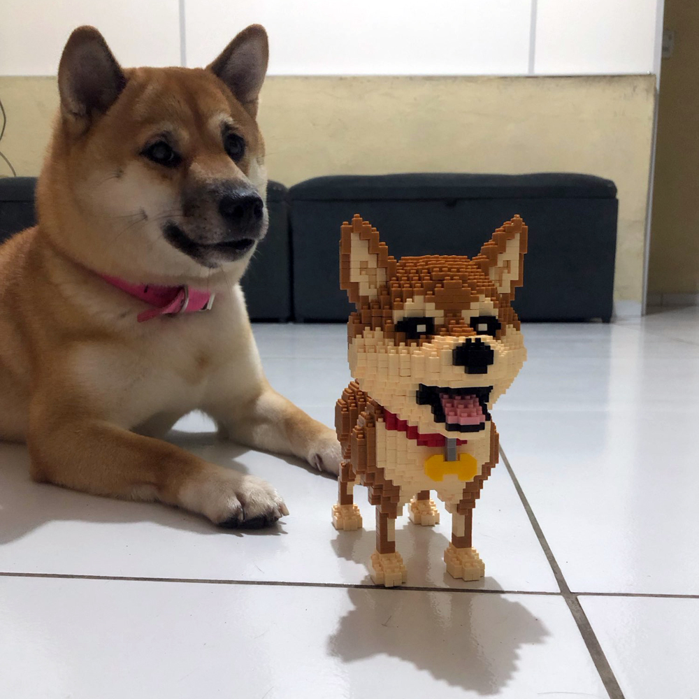 KNEW BUILT Shiba Inu Dogs Mode - Kids Education Recreation recensione e prezzo