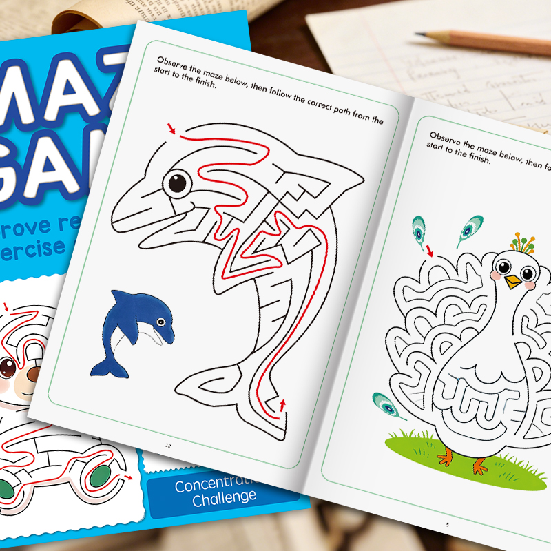 Libro con labirinti per bambin - Learning Workbook Preschool recensione e prezzo